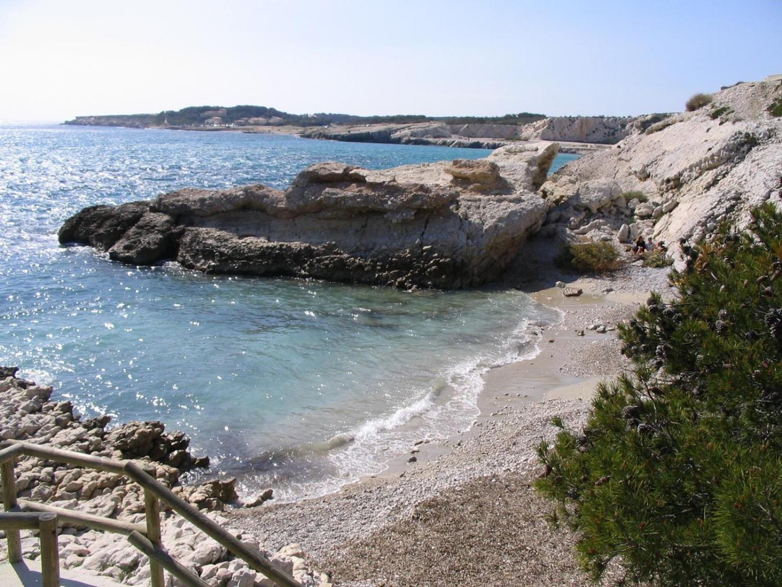 *tiny Jungle* / Plage, Port Et Commerces A Pied Apartment